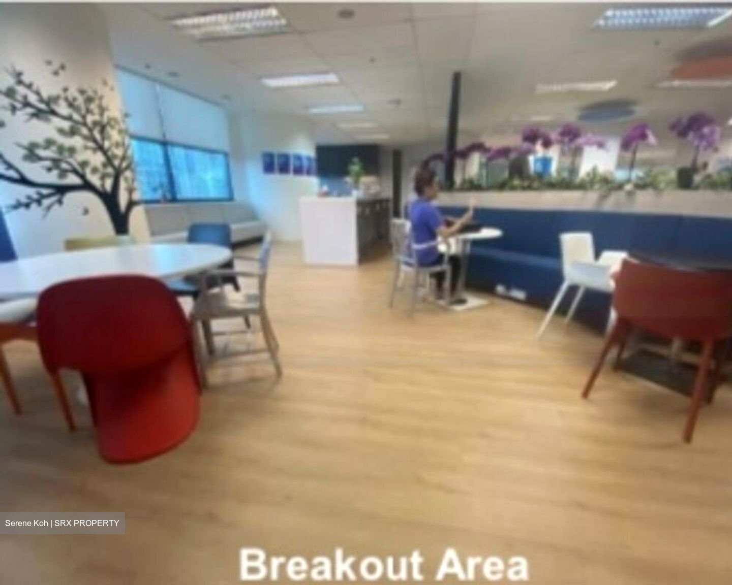 Valley Point (D10), Office #456723331
